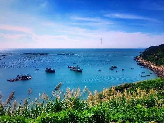 沈阳酱八宝到底是个什么菜？