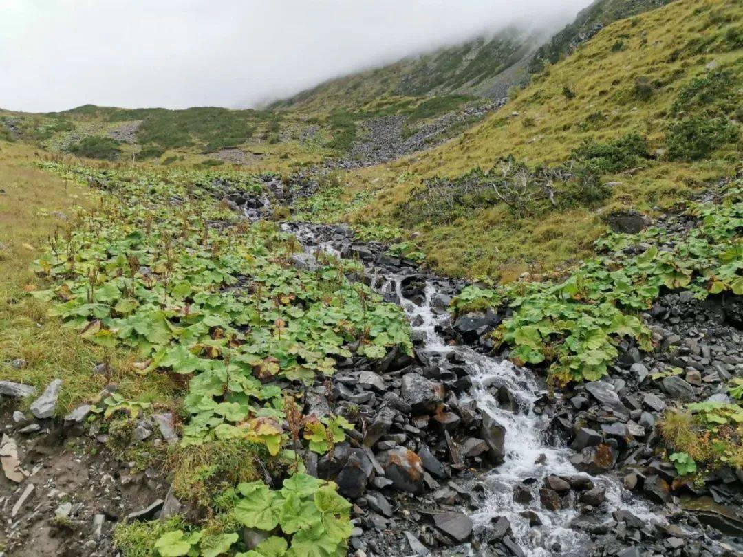 崂山北宅科西侧区域拟综合整治