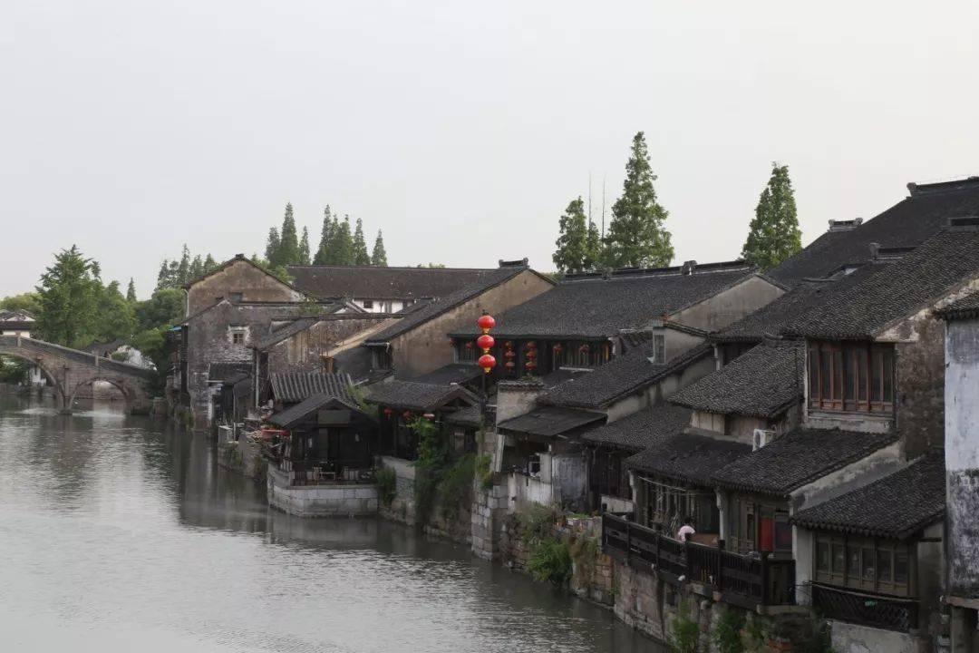 逃离水虎鱼湖